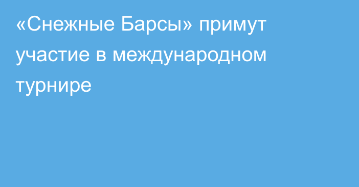 «Снежные Барсы» примут участие в международном турнире