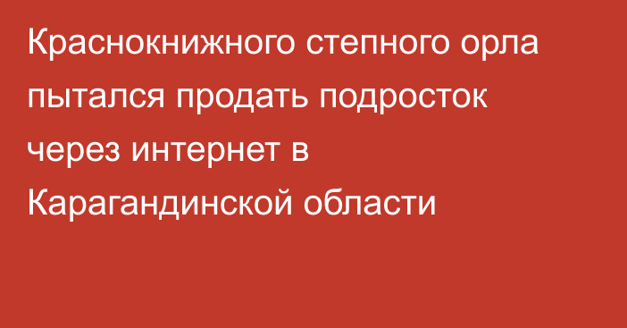 Краснокнижного степного орла пытался продать подросток через интернет в Карагандинской области