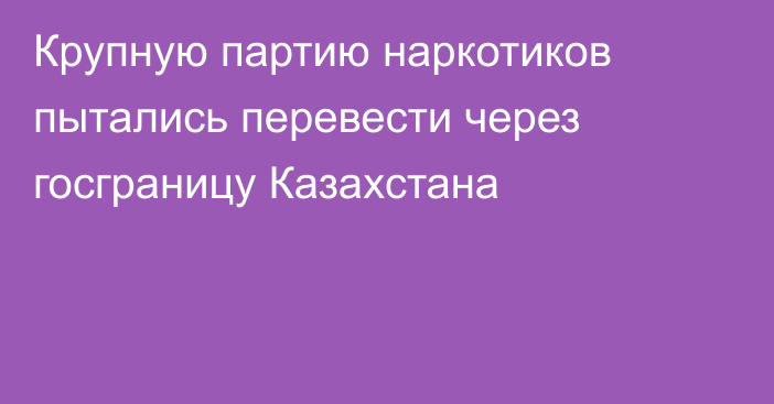 Крупную партию наркотиков пытались перевести через госграницу Казахстана