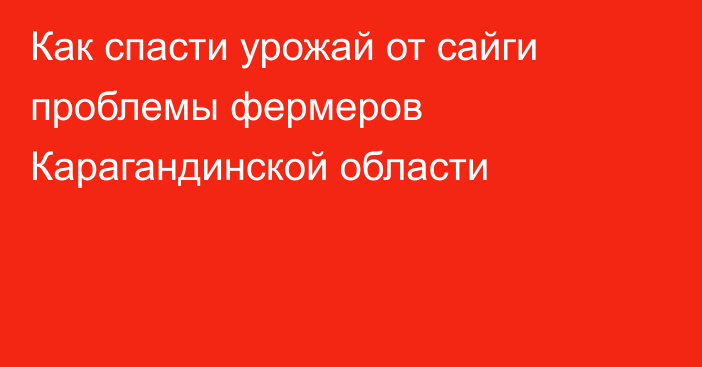 Как спасти урожай от сайги проблемы фермеров Карагандинской области