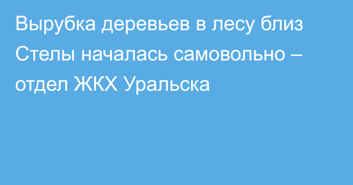 Вырубка деревьев в лесу близ Стелы началась самовольно – отдел ЖКХ Уральска