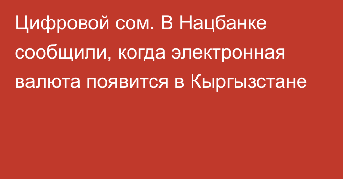 Цифровой сом. В Нацбанке сообщили, когда электронная валюта появится в Кыргызстане