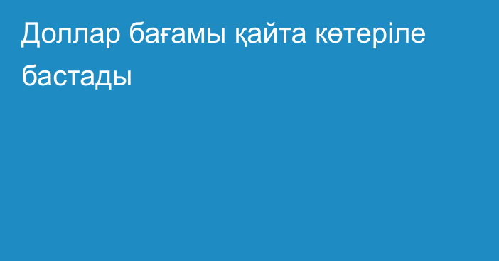 Доллар бағамы қайта көтеріле бастады