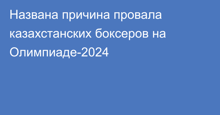 Названа причина провала казахстанских боксеров на Олимпиаде-2024