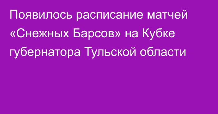 Появилось расписание матчей «Снежных Барсов» на Кубке губернатора Тульской области