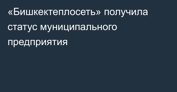 «Бишкектеплосеть» получила статус муниципального предприятия