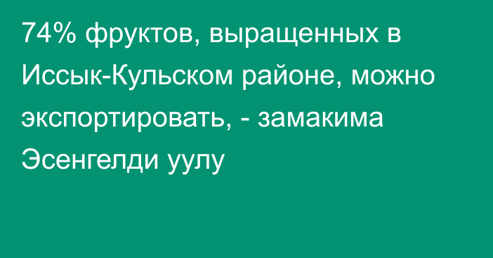 74% фруктов, выращенных в Иссык-Кульском районе, можно экспортировать, -  замакима Эсенгелди уулу