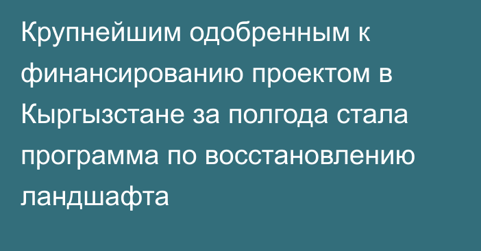 Крупнейшим одобренным к финансированию проектом в Кыргызстане за полгода стала программа по восстановлению ландшафта