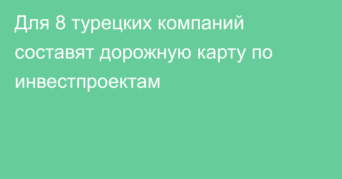 Для 8 турецких компаний составят дорожную карту по инвестпроектам