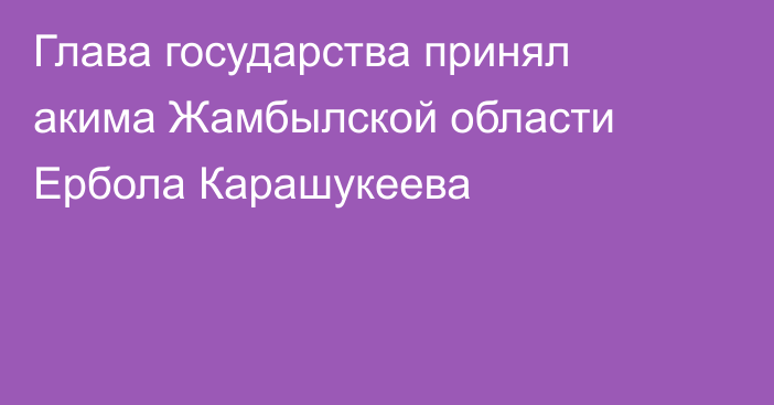 Глава государства принял акима Жамбылской области Ербола Карашукеева