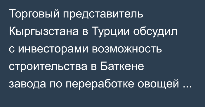 Торговый представитель Кыргызстана в Турции обсудил с инвесторами возможность строительства в Баткене завода по переработке овощей и фруктов