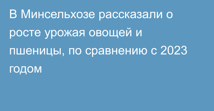 В Минсельхозе рассказали о росте урожая овощей и пшеницы, по сравнению с 2023 годом