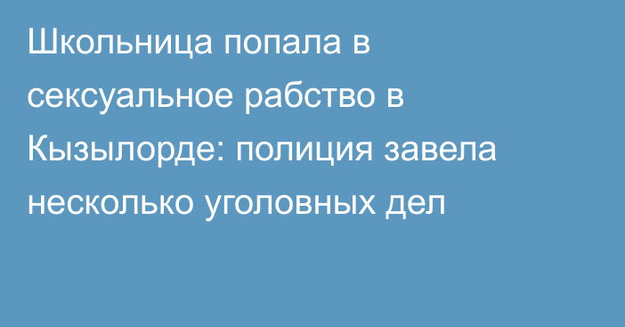 Школьница попала в сексуальное рабство в Кызылорде: полиция завела несколько уголовных дел