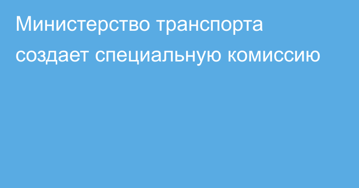 Министерство транспорта создает специальную комиссию