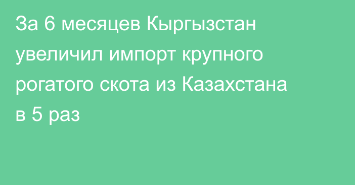 За 6 месяцев Кыргызстан увеличил импорт крупного рогатого скота из Казахстана в 5 раз