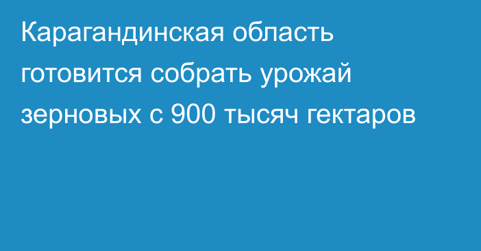 Карагандинская область готовится собрать урожай зерновых с 900 тысяч гектаров