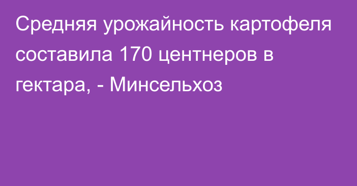 Средняя урожайность картофеля составила 170 центнеров в гектара, - Минсельхоз