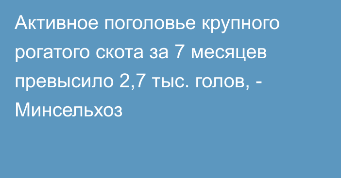 Активное поголовье крупного рогатого скота за 7 месяцев превысило 2,7 тыс. голов, - Минсельхоз