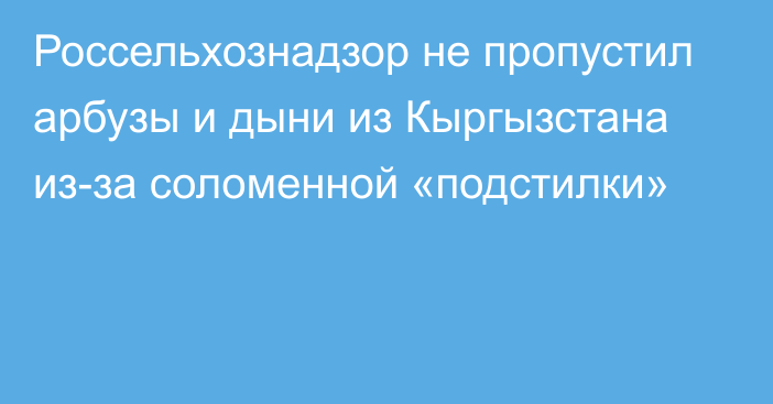 Россельхознадзор не пропустил арбузы и дыни из Кыргызстана из-за соломенной «подстилки»