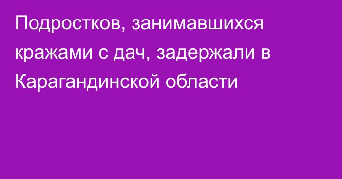 Подростков, занимавшихся кражами с дач, задержали в Карагандинской области