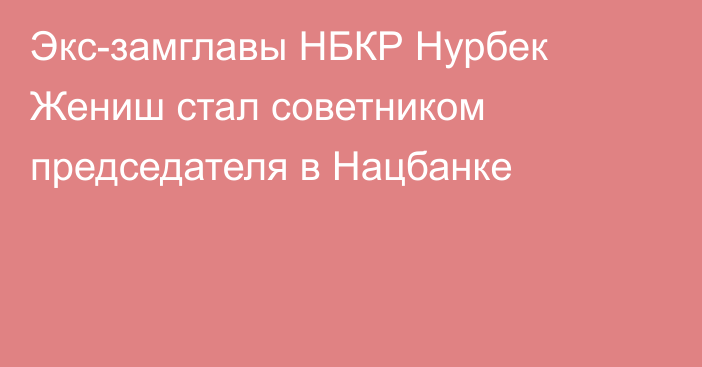 Экс-замглавы НБКР Нурбек Жениш стал советником председателя в Нацбанке