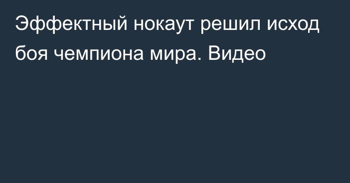 Эффектный нокаут решил исход боя чемпиона мира. Видео