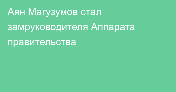 Аян Магузумов стал замруководителя Аппарата правительства