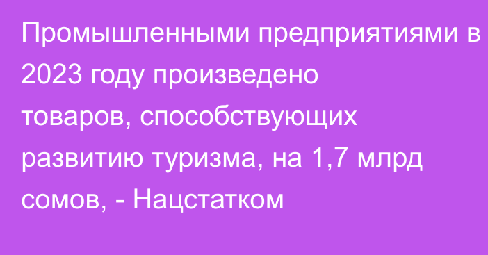 Промышленными предприятиями в 2023 году произведено товаров, способствующих развитию туризма, на 1,7 млрд сомов, - Нацстатком