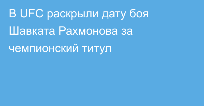 В UFC раскрыли дату боя Шавката Рахмонова за чемпионский титул