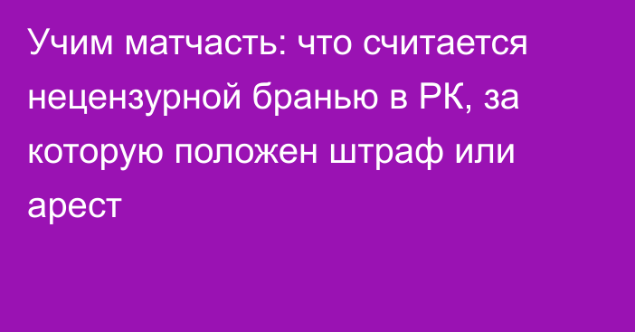 Учим матчасть: что считается нецензурной бранью в РК, за которую положен штраф или арест