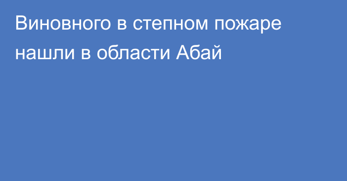 Виновного в степном пожаре нашли в области Абай