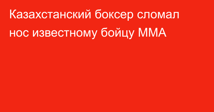 Казахстанский боксер сломал нос известному бойцу ММА