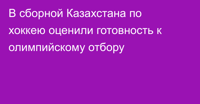 В сборной Казахстана по хоккею оценили готовность к олимпийскому отбору