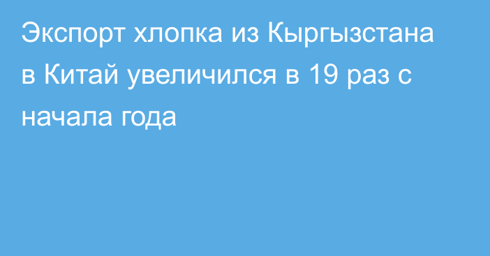 Экспорт хлопка из Кыргызстана в Китай увеличился в 19 раз с начала года