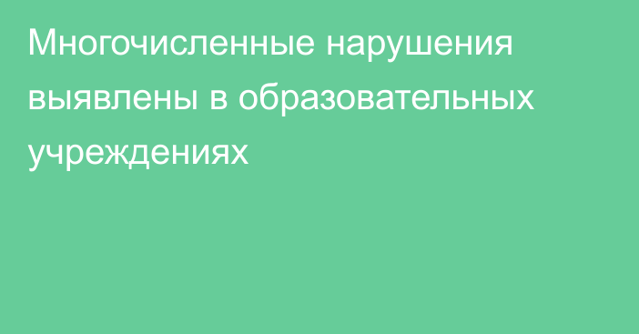 Многочисленные нарушения выявлены в образовательных учреждениях