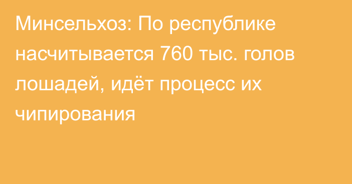 Минсельхоз: По республике насчитывается 760 тыс. голов лошадей, идёт процесс их чипирования