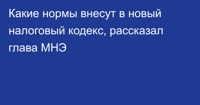 Какие нормы внесут в новый налоговый кодекс, рассказал глава МНЭ