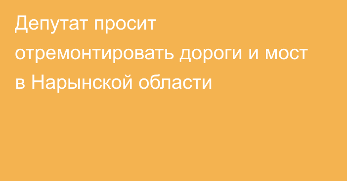 Депутат просит отремонтировать дороги и мост в Нарынской области