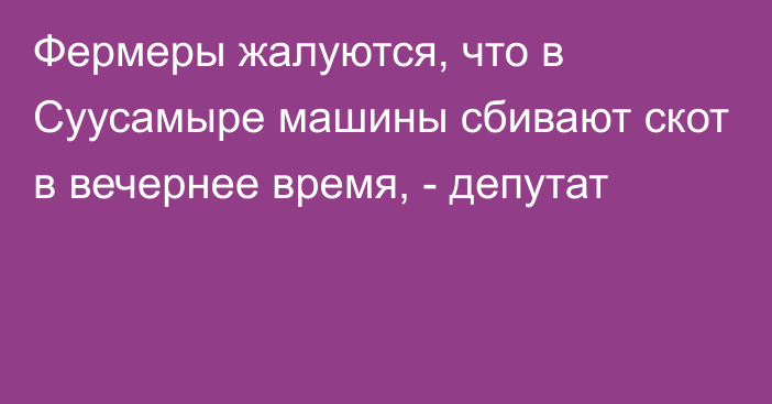 Фермеры жалуются, что в Суусамыре машины сбивают скот в вечернее время, - депутат