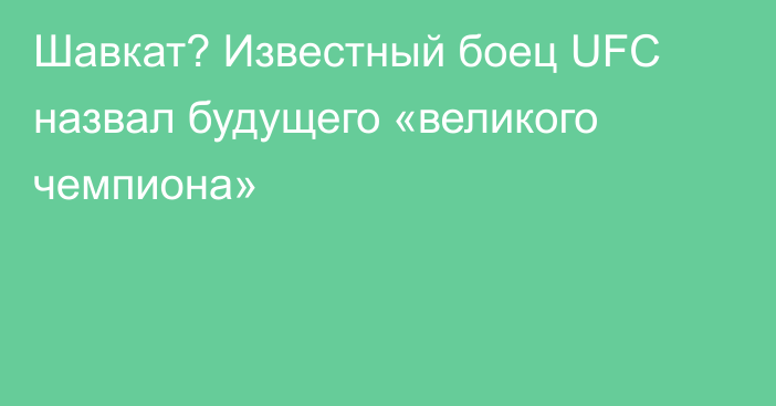 Шавкат? Известный боец UFC назвал будущего «великого чемпиона»