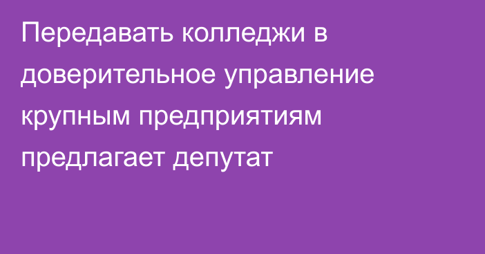 Передавать колледжи в доверительное управление крупным предприятиям предлагает депутат