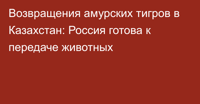 Возвращения амурских тигров в Казахстан: Россия готова к передаче животных