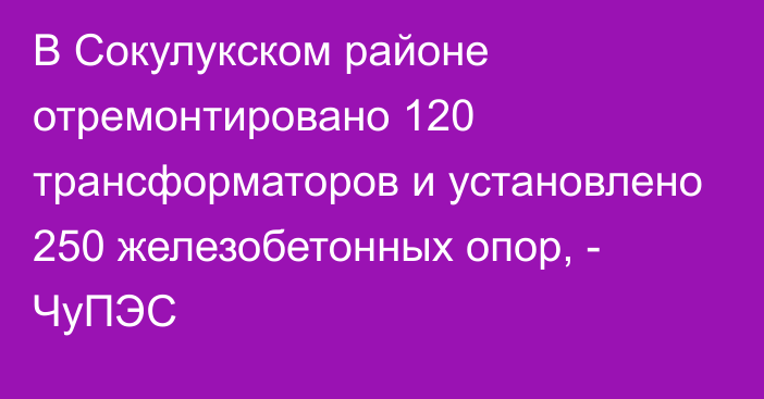 В Сокулукском районе отремонтировано 120 трансформаторов и установлено 250 железобетонных опор, - ЧуПЭС