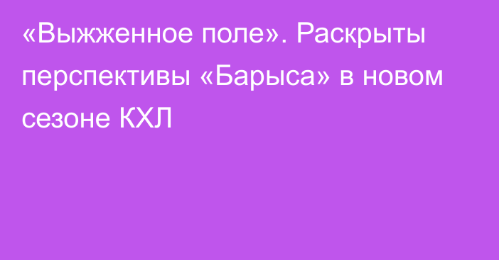 «Выжженное поле». Раскрыты перспективы «Барыса» в новом сезоне КХЛ