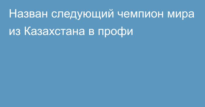 Назван следующий чемпион мира из Казахстана в профи