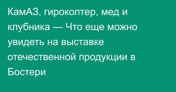 КамАЗ, гирокоптер, мед и клубника — Что еще можно увидеть на выставке отечественной продукции в Бостери