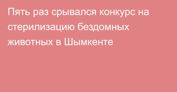 Пять раз срывался конкурс на стерилизацию бездомных животных в Шымкенте