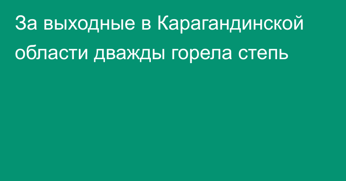 За выходные в Карагандинской области дважды горела степь