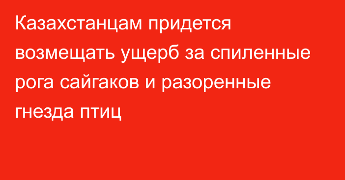 Казахстанцам придется возмещать ущерб за спиленные рога сайгаков и разоренные гнезда птиц