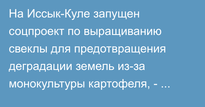 На Иссык-Куле запущен соцпроект по выращиванию свеклы для предотвращения деградации земель из-за монокультуры картофеля, - руководитель кластера